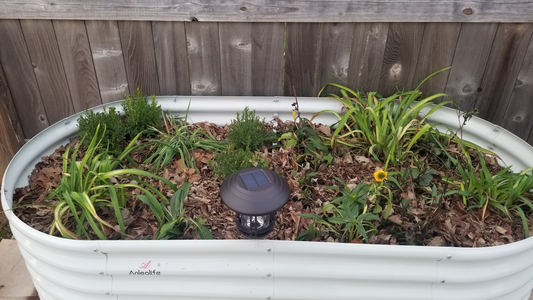 White raised garden bed with solar light, green plants, wooden fence.