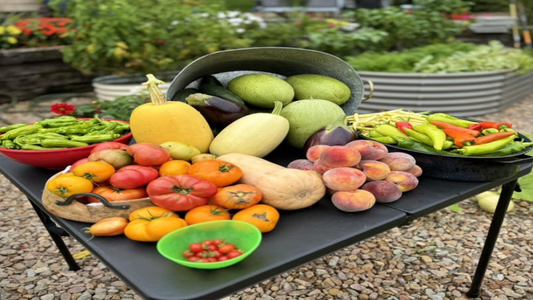 Assortment of fresh produce in a raised garden bed.