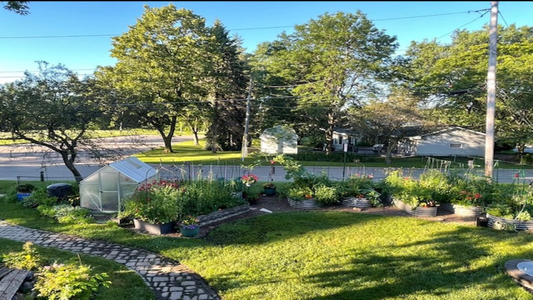 Lush garden landscape with greenhouses, plants, and decorative elements.