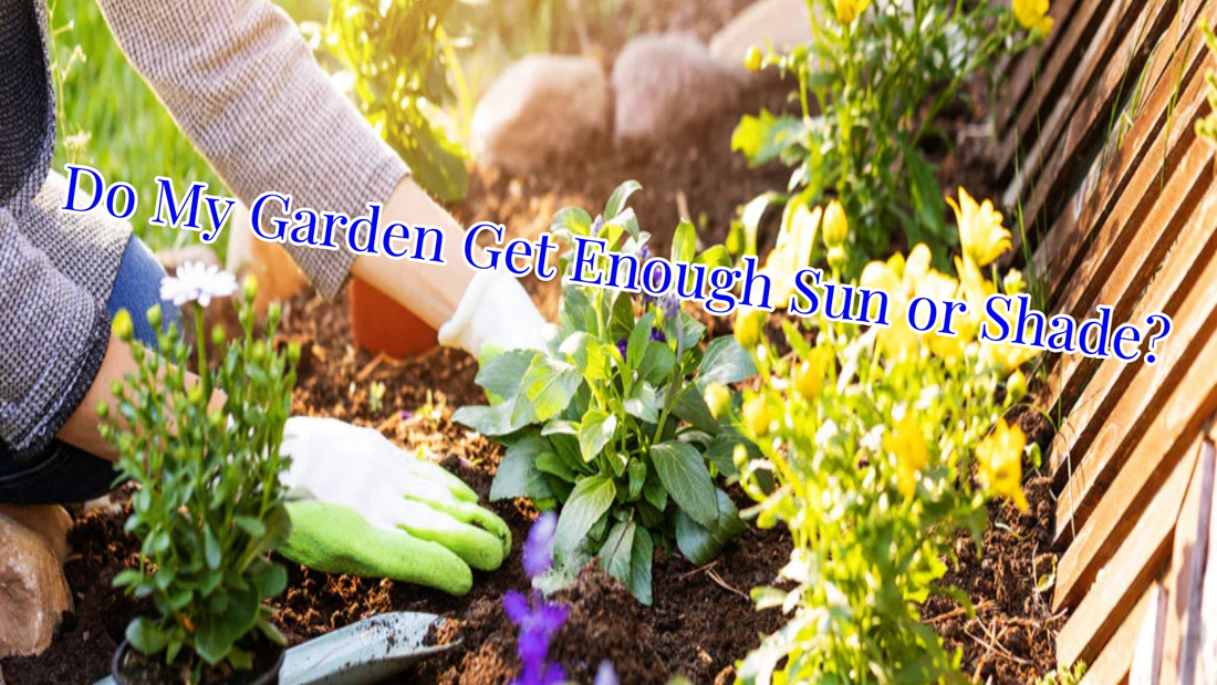 Gardener planting flowers in sunny garden bed with text overlay.