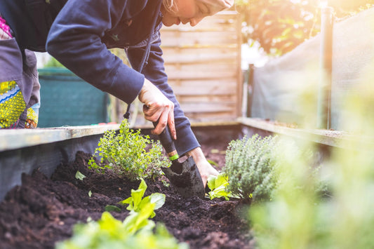 Anleolife Garden View: Get Your Raised Beds Ready for Spring Planting(I)