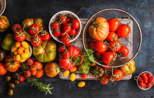 Anleolife Garden View: Useful Tips on How to Grow Tomatoes in Metal Raised Garden Beds(I)