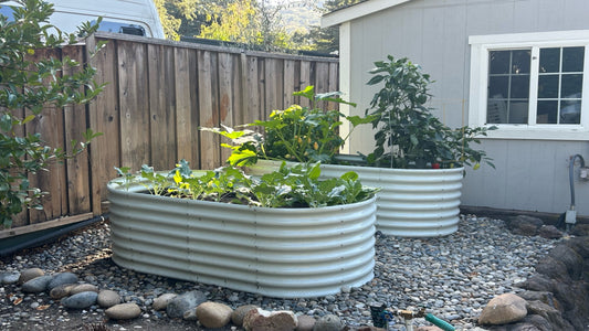 Three large metal planters filled with various plants in a backyard garden, surrounded by rocks and gravel.