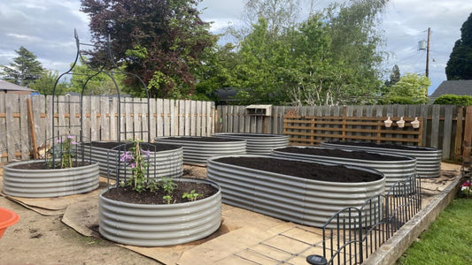 A backyard garden with multiple metal raised beds filled with fresh soil