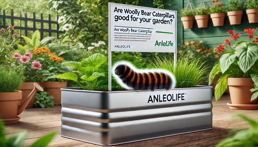 A silver planter with green plants and a Woolly Bear Caterpillar, alongside a sign asking if they are good for gardens, labeled "Anleolife."