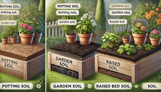 Three types of soil—potting, garden, and raised bed—are shown in raised beds with plants.