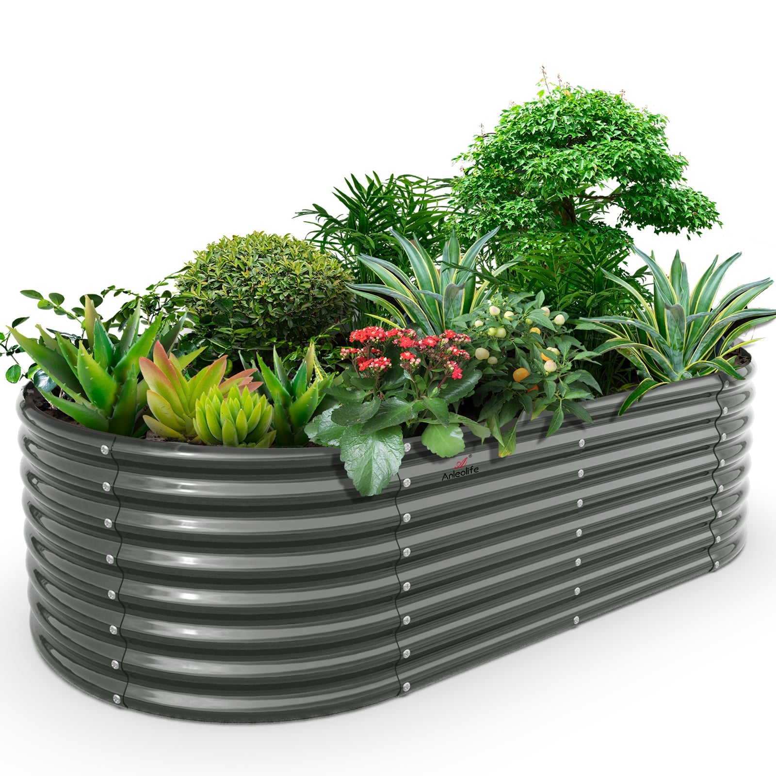 decorative oval raised garden bed for flower displays